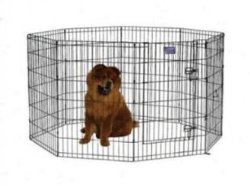 Exercise Pen with Door in Black Finish Size: 42″ H (Large)