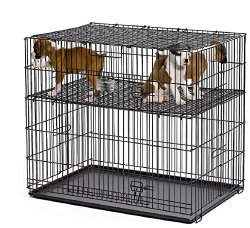 MidWest Homes For Pets Puppy Playpen 224-10 with 1″ Floor Grid