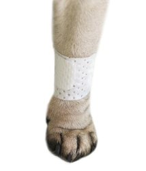 PawFlex Bandages Basic Bandage Set for Pets with 2-Standard and 2-Wide Bandages, Large/X-Large