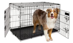 Petmate 34-Inch 2-Door Training Retreats Wire Kennel for Dogs, 50 to 70-Pound