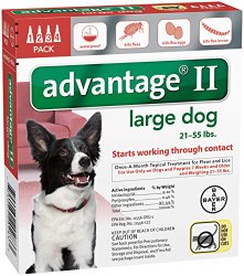 Advantage II Large Dog 4-Pack