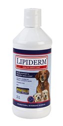 Lipiderm Liquid Skin and Coat Supplement for Dogs, 16 oz