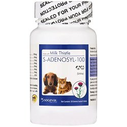 S Adenosyl 100 (SAMe) for Small Dogs and Cats 100 mg (30 tabs)