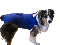 Surgi Snuggly E Collar Alternative, Created By A Veterinarian Specifically to Fit Your Dog, Large Long