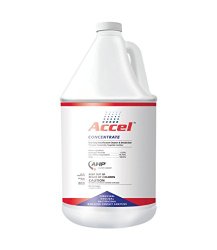 Accel Disinfectant Concentrate Gallon