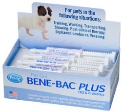 Bene-Bac® Plus Probiotic Pet Gel 15g Syringe in Safety Seal, 12-Pack (12 Syringes)