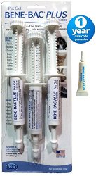 Bene-Bac® Plus Probiotic Pet Gel 15g Syringe in Safety Seal, 3-Pack w/Free 1g Travel Size