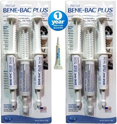 Bene-Bac® Plus Probiotic Pet Gel 15g Syringe in Safety Seal, 6-Pack