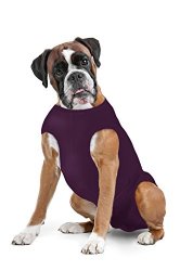 Dog Diaper Keeper – Created By A Veterinarian Specifically to Fit Your Dog – Will Not Fall Off – Sizes: S – XLL (L, Plum)
