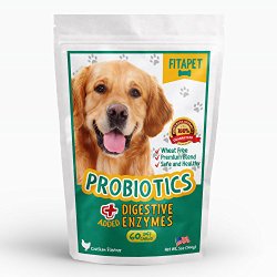Probiotics for Dogs Plus Added Digestive Enzymes Boosts Digestive Health and Aids Diarrhea Relief and Breath and Yeast Problems 60 Dog Treats
