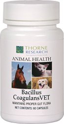 Thorne Research Veterinary – Bacillus CoagulansVET – 60 Capsules