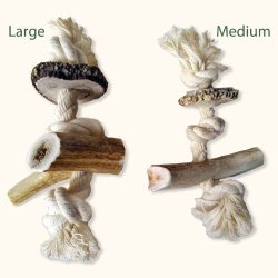 Antler Rope Chews for Dogs, Natural Antler on Cotton Rope (Large)