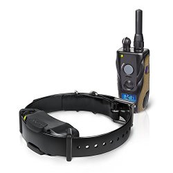 Best Dogtra E Collar Training For Dogs – Field Star 1900S – 3/4 Mile Remote Trainer with LCD Screen – Fully Waterproof Collar – With eOutletDeals Postcard Magnet Calendar.