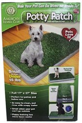 Doggee Couture Potty Patch with Anti-Microbial Odor Resistant Technology, Small, Green