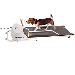 Gopet EPPR720F PetRun PR720F Dog Treadmill