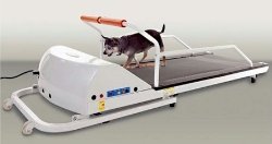 GoPet Petrun Pr710 Foldable Dog Treadmill Indoor Exercise / Fitness Kit – For Dogs Upto 44 Pounds