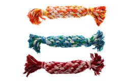Multipet’s Nuts for Knots Rope Bone Dog Toy with Squeaker, 8-Inch