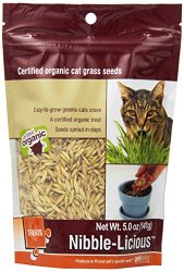 Petlinks Nibble-Licious Cat Grass Seeds 5 oz