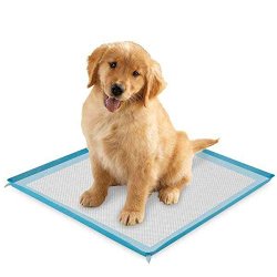 Puppy Pee Pads – 23″ x 22″ Great for Potty Training or Older Dogs – Wee Pad with Scent Remover – Pack of 100 Large Soft Trainer Pads