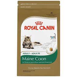 Royal Canin Maine Coon Dry Cat Food, 6- Pound Bag