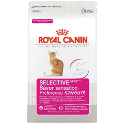 Royal Canin Savor Sensation Dry Cat Food, 6-Pound
