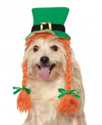 Rubies Costume Company St. Patty’s Day Girl Pet Hat with Braids, Small/Medium