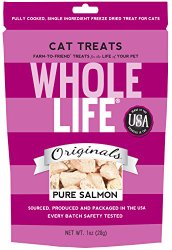 Whole Life Pet Single Ingredient USA Freeze Dried Salmon Filet Treats for Cats, 1-Ounce