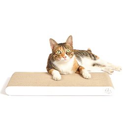 4CLAWS BASICS Cat Scratcher – Flat Scratching Pad (White)