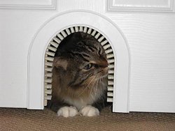 Cat Door – Cathole Interior Pet Door With Cleaning Brush