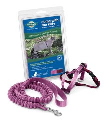 Come With Me Kitty Harness and Bungee Leash, Kitten/Small, Dusty Rose
