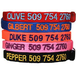 Custom Embroidered Cat Id Collars with Breakaway Safety Release Buckle – Personalized Kitty Collars with Pet Name and Phone number. Adjustable.