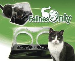 Felines Only – The Purrrfect Cat Dish