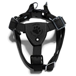 Gooby Luxury Step-In Harness, Small, Black