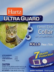 Hartz Mountain CHZ90745 F and T Cat Collar, 13-Inch, Purple