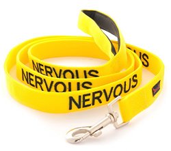 NERVOUS Yellow Color Coded 6 Foot Dog Padded Leash (Give Me Space) PREVENTS Accidents By Warning Others of Your Dog in Advance