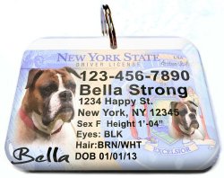New York driver license state license identification tags for pets (Large 2.00″ x 1.50″)