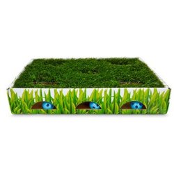 Petstages Grass Patch Hunting Box Cat Scratcher
