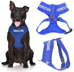 SERVICE DOG (Do Not Disturb/Dog Is Working) Blue Color Coded Non-Pull Front and Back D Ring Padded and Waterproof Vest Dog Harness PREVENTS Accidents By Warning Others Of Your Dog In Advance (L)