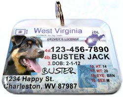 West Virginia State Drivers License Personalized for Dog’s and Cats by ID4PET (Large 2.00″ x 1.50″)