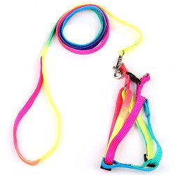 Yueton® Dog Pet Puppy Cat Kitty Adjustable Nylon Leash Rainbow Dog Chest Straps Chain Seven Color Traction Thoracic Dorsal Suits Dog Rope Dog’s Leash Chain