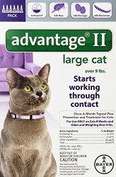 Bayer Advantage II for Large Cats Over 9 lbs, 6 Pack
