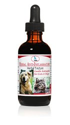 Herbal Anti-Inflammatory for Cats 2oz – Disinfects GI Tract, Reduces Inflammation