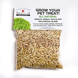 Priscillas Kitty Cat Pet Grass Seed Refill Pack (Barley, Oats, Wheat and Rye) Over 3 OZ.