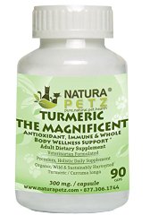 Turmeric the Magnificent – Antioxidant, Immune & Whole Body Wellness Support Adult Dogs & Cats