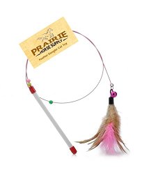 Cat Wire Dangler Wand Toy with Beads and Feather, Interactive cat teaser, charmer, dancer pole toy