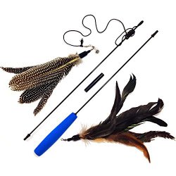 Pet Fit For Life 2 Feather Teaser and Exerciser For Cat and Kitten – Cat Toy Interactive Cat Wand