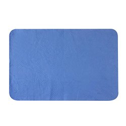Aumo-mate 10 Pcs Super Absorbent Towel Deerskin Towel Cleaning Towels(Blue)