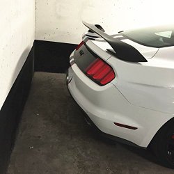 2015 MUSTANG SHELBY GT350 STYLE [FULL CARBON FIBER] REAR SPOILER GT WING FOR FORD MUSTANG 2015 NICE FITMENT & QUALITY