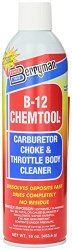 Berryman 117 B-12 Chemtool Carburetor, Choke and Throttle Body Cleaner – 16 oz.