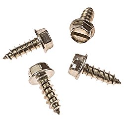 Set of Four License Plate Screws (Stainless Steel)